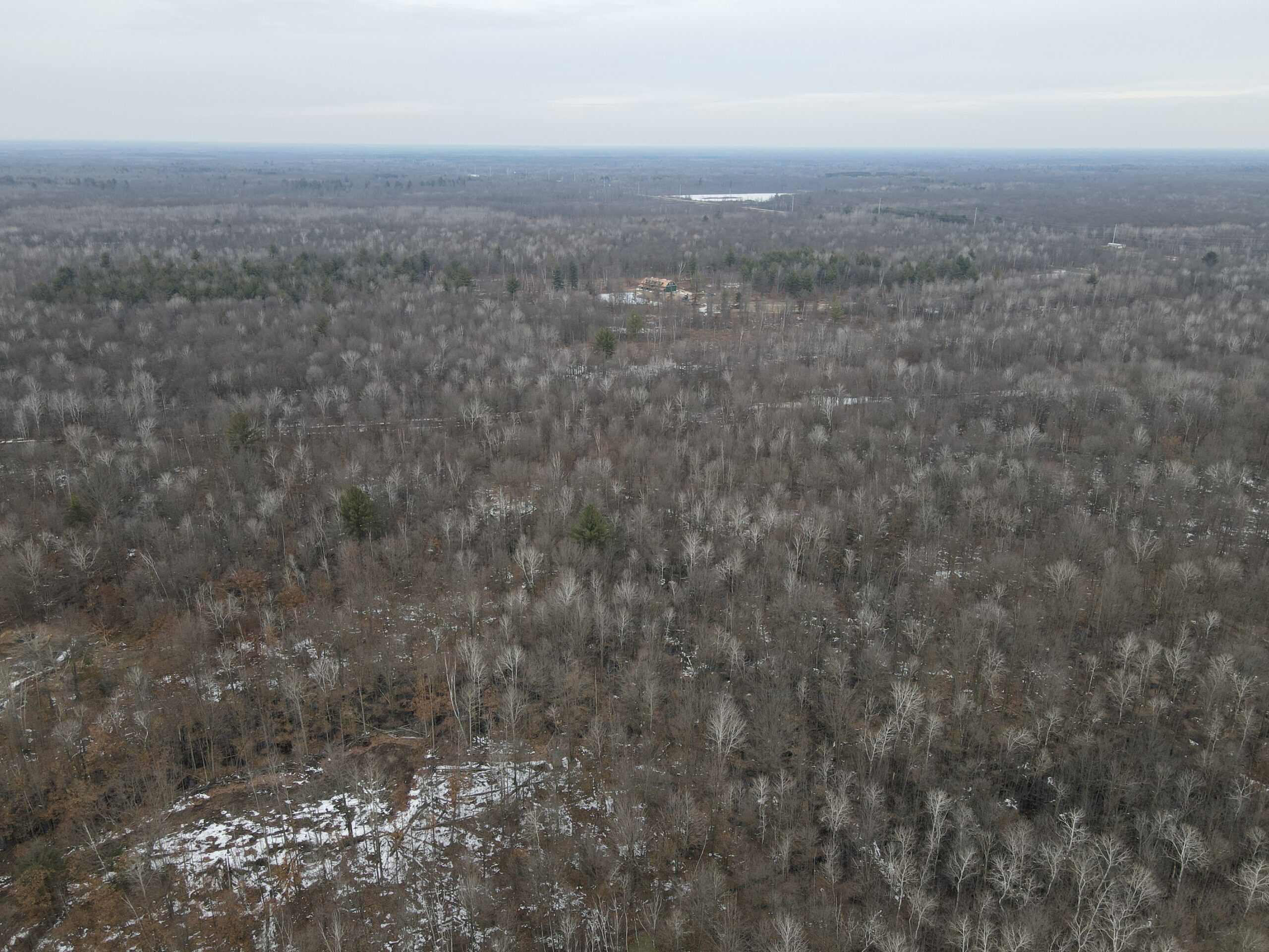 Michigan Hunting and Recreational Land for Sale UC Hunting Properties