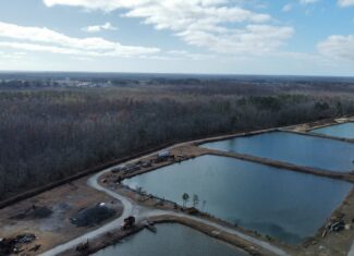 275-Acre Timberland for Sale in Tyrrell County, NC