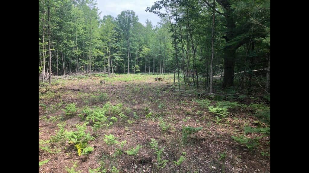 Michigan Hunting and Recreational Land for Sale