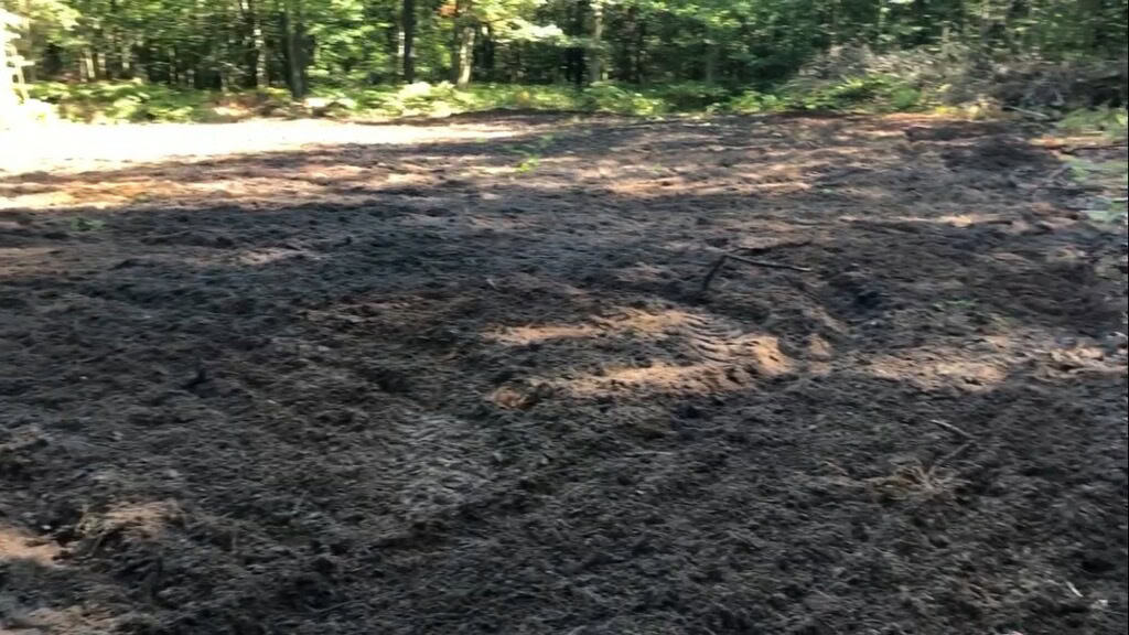 Michigan Hunting and Recreational Land for Sale