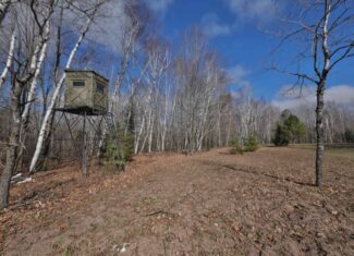 Prime Hunting Land for sale in Bayfield County, Wisconsin