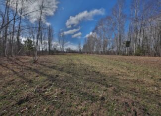 Prime Hunting Land for sale in Bayfield County, Wisconsin