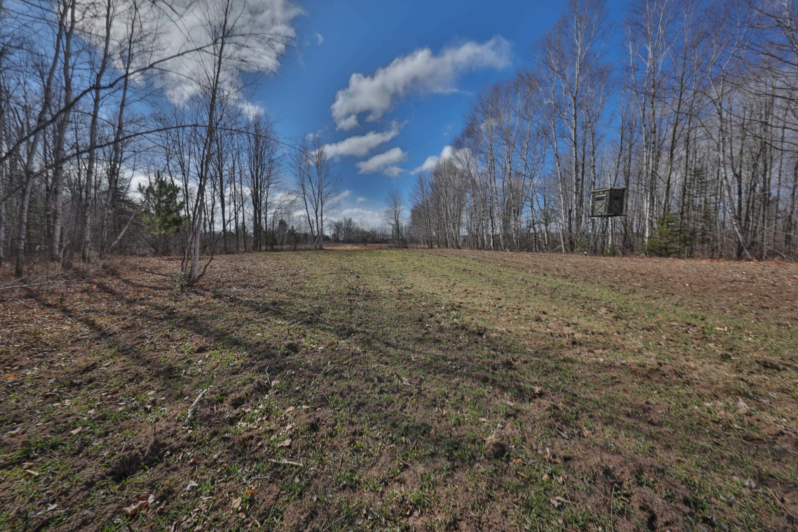 Prime Hunting Land for sale in Bayfield County, Wisconsin