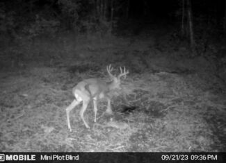 Prime Hunting Land for sale in Bayfield County, Wisconsin