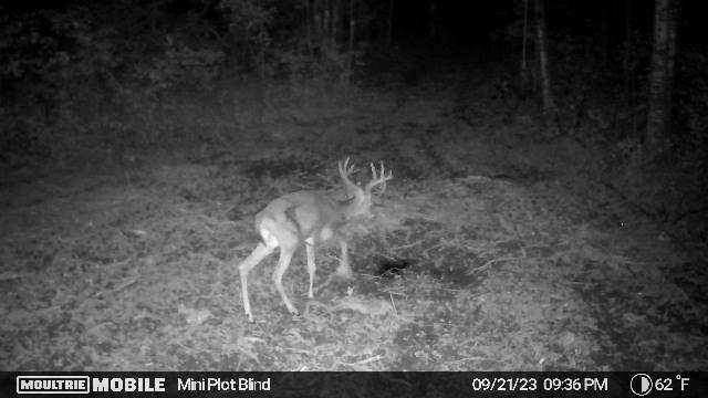 Prime Hunting Land for sale in Bayfield County, Wisconsin