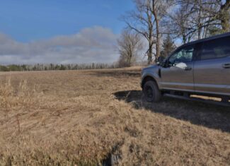Farmland for sale in Bayfield County, Wisconsin