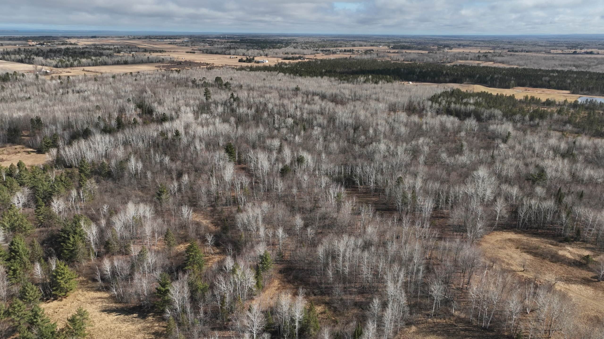 Prime Hunting Land for sale in Bayfield County, Wisconsin