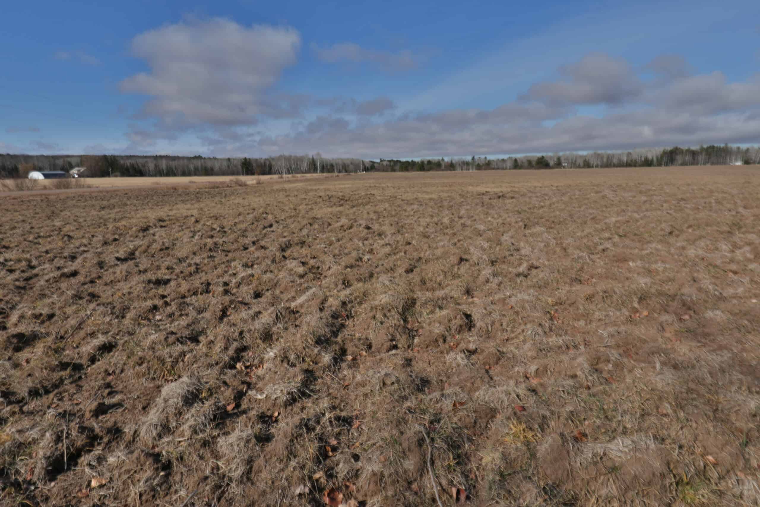 Farmland for sale in Bayfield County, Wisconsin