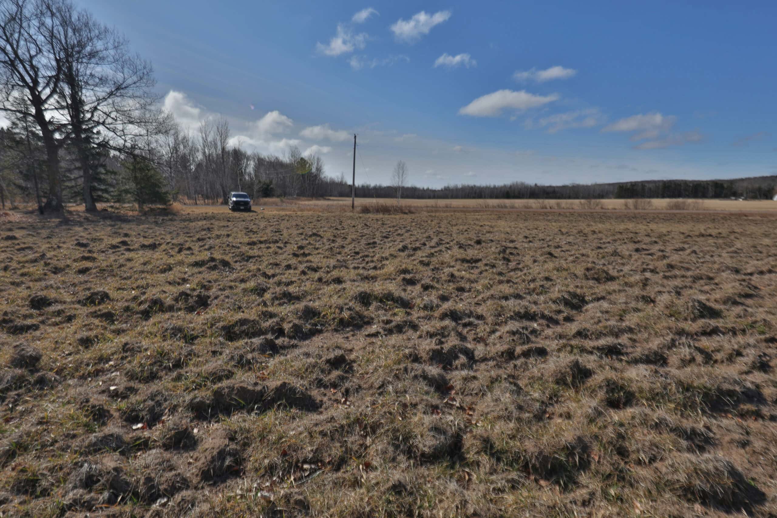 Farmland for sale in Bayfield County, Wisconsin