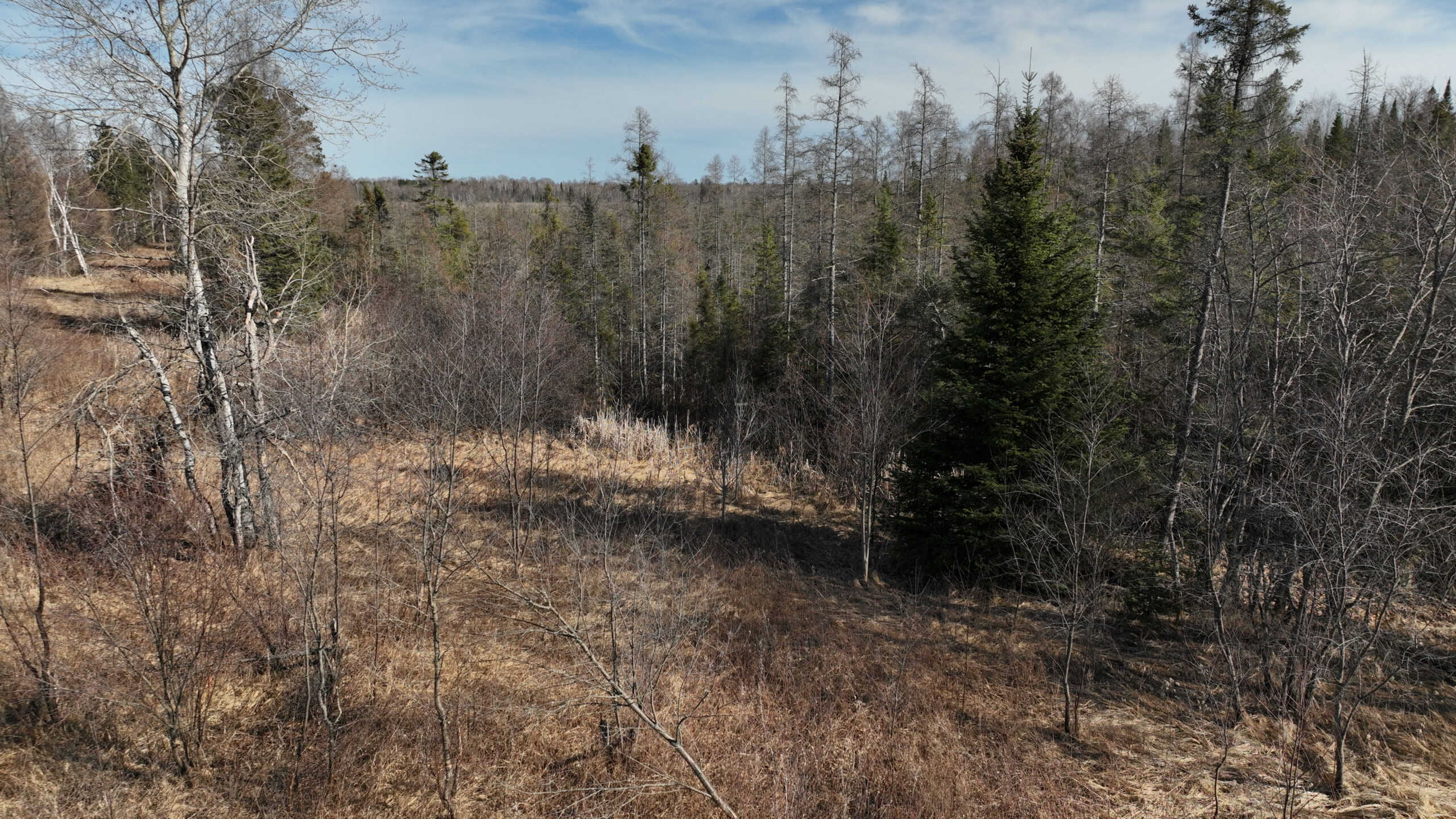 Hunting Land for sale in Iron County, Wisconsin UC Hunting Properties