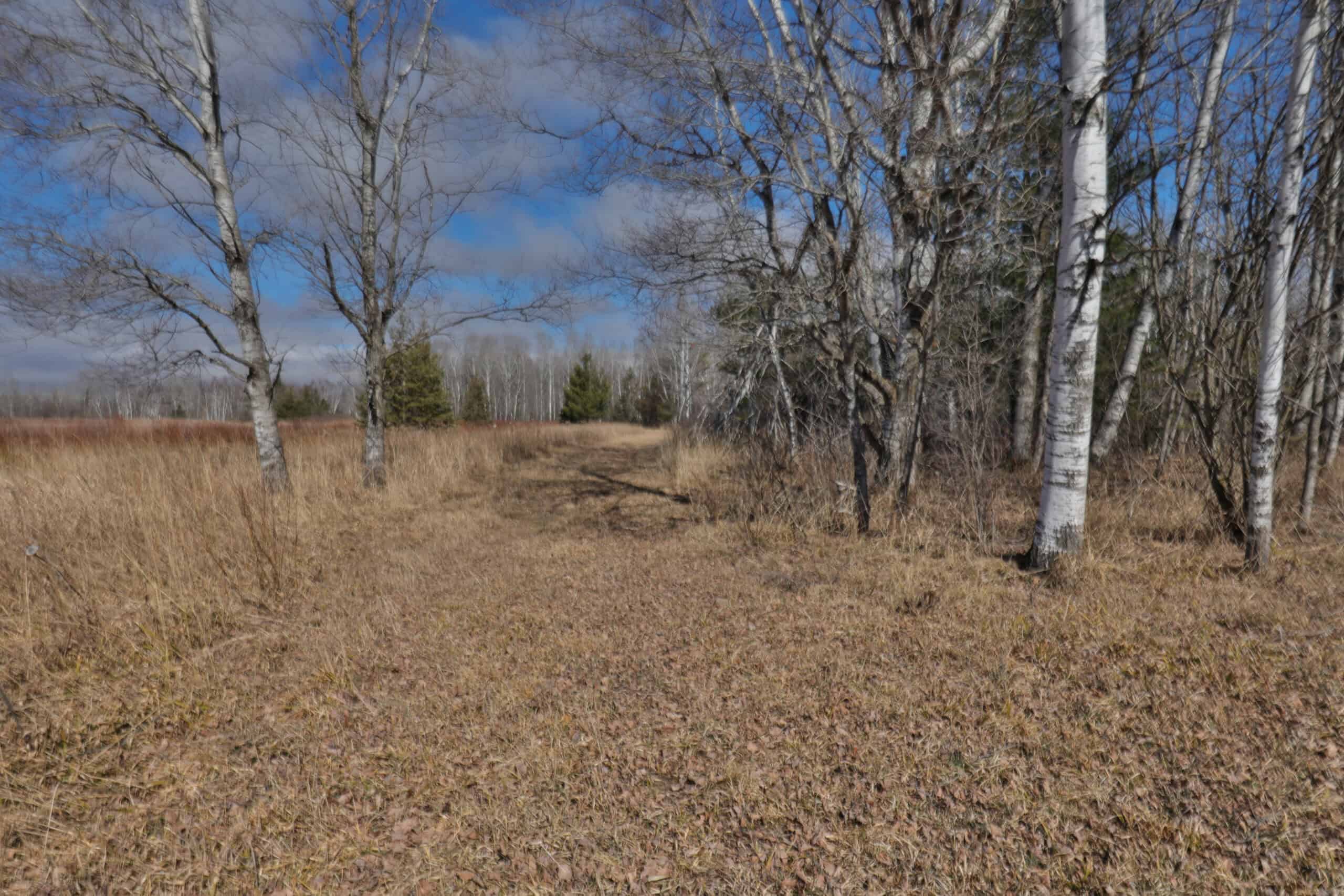 Prime Hunting Land for sale in Bayfield County, Wisconsin