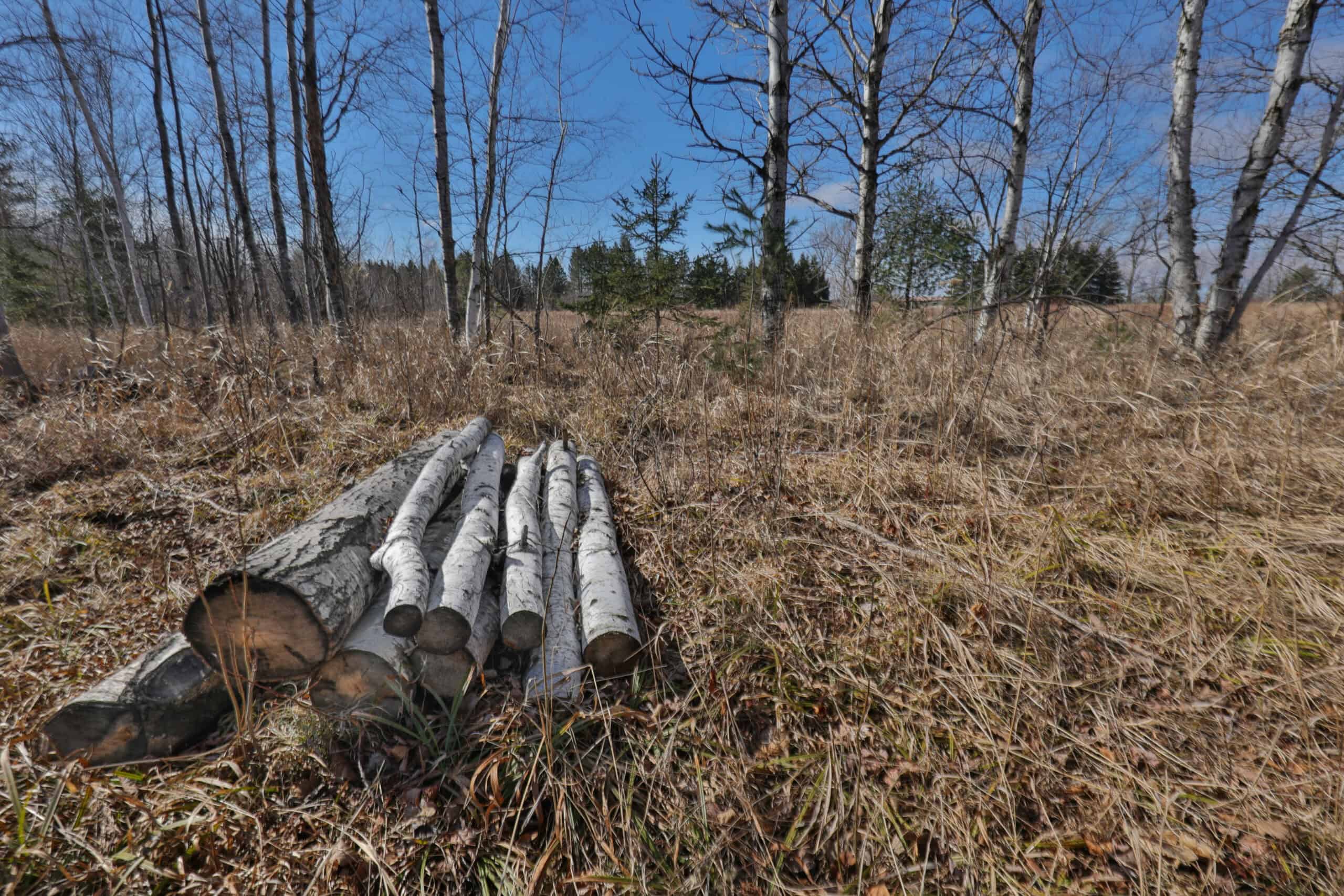 Prime Hunting Land for sale in Bayfield County, Wisconsin