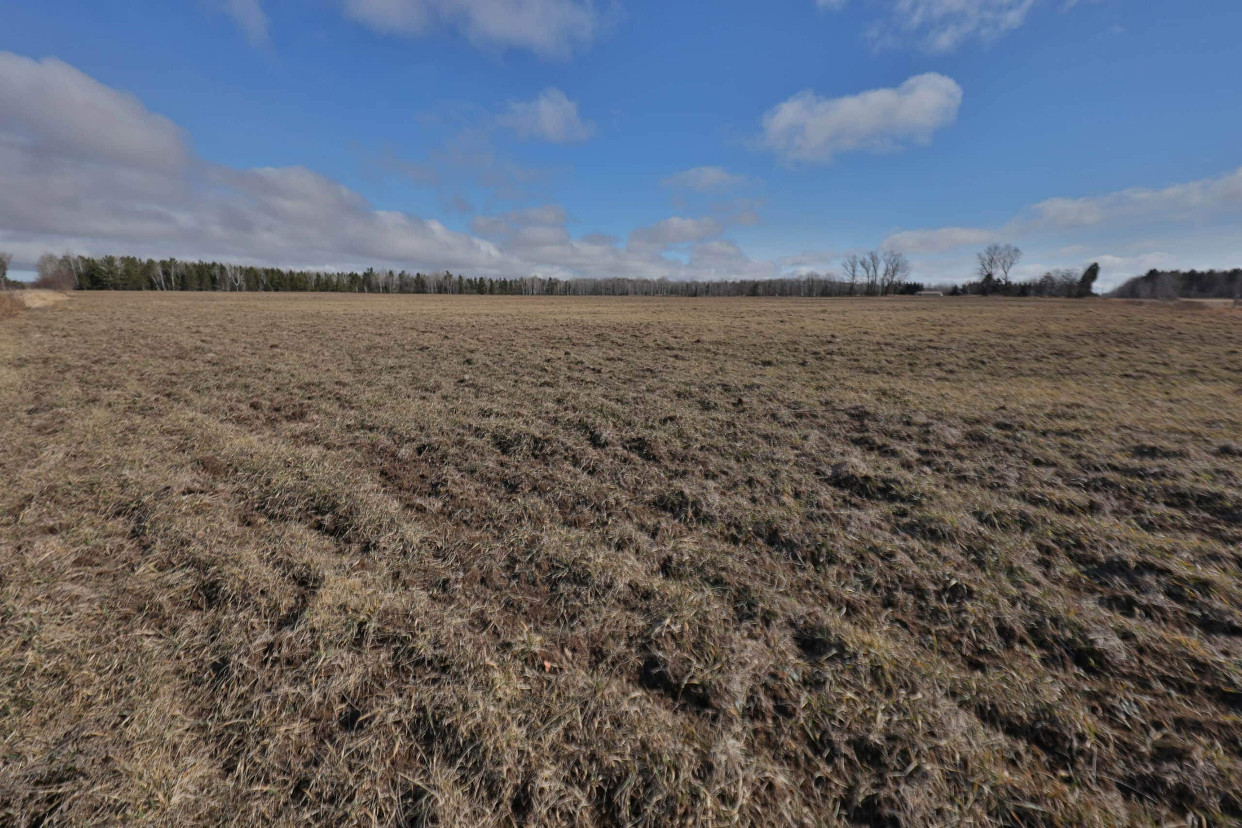 Farmland for sale in Bayfield County, Wisconsin