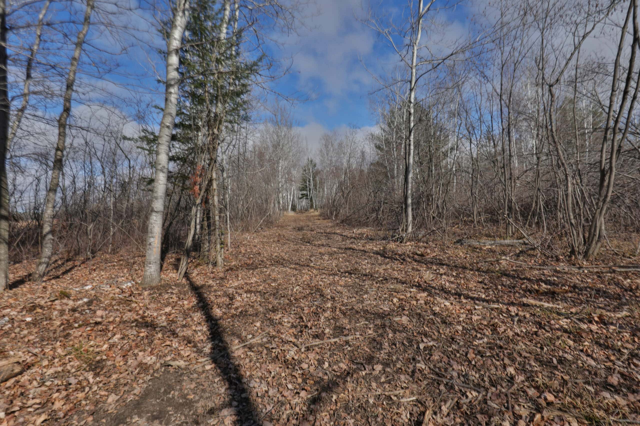 Prime Hunting Land for sale in Bayfield County, Wisconsin