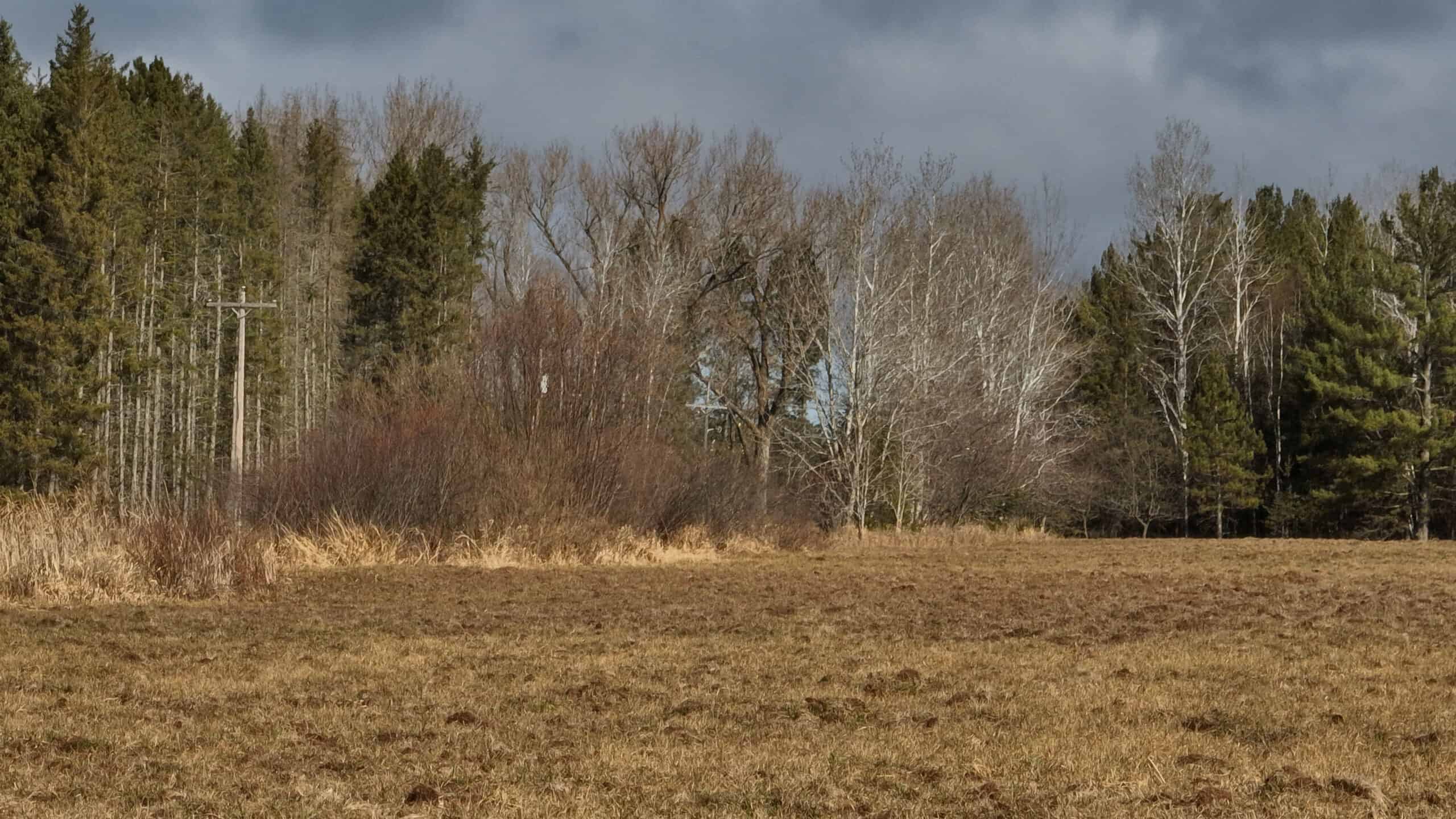 Farmland for sale in Bayfield County, Wisconsin