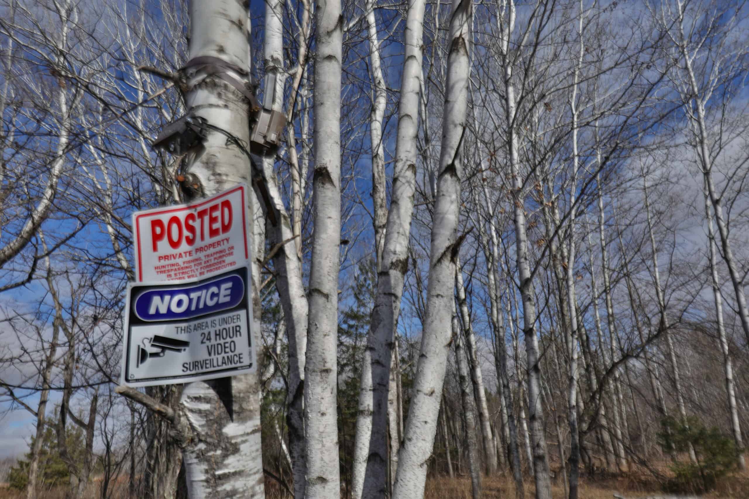 Prime Hunting Land for sale in Bayfield County, Wisconsin