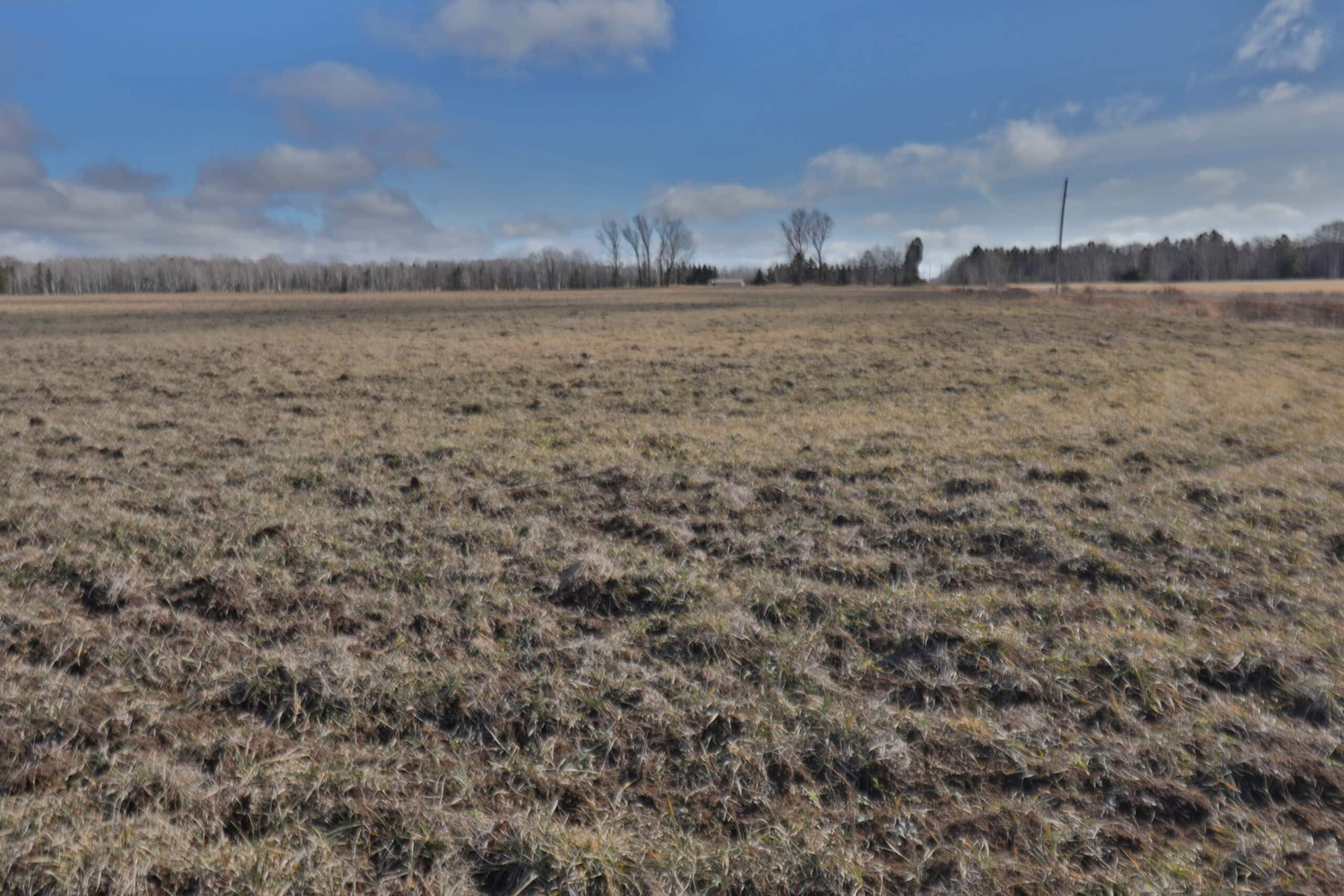 Farmland for sale in Bayfield County, Wisconsin