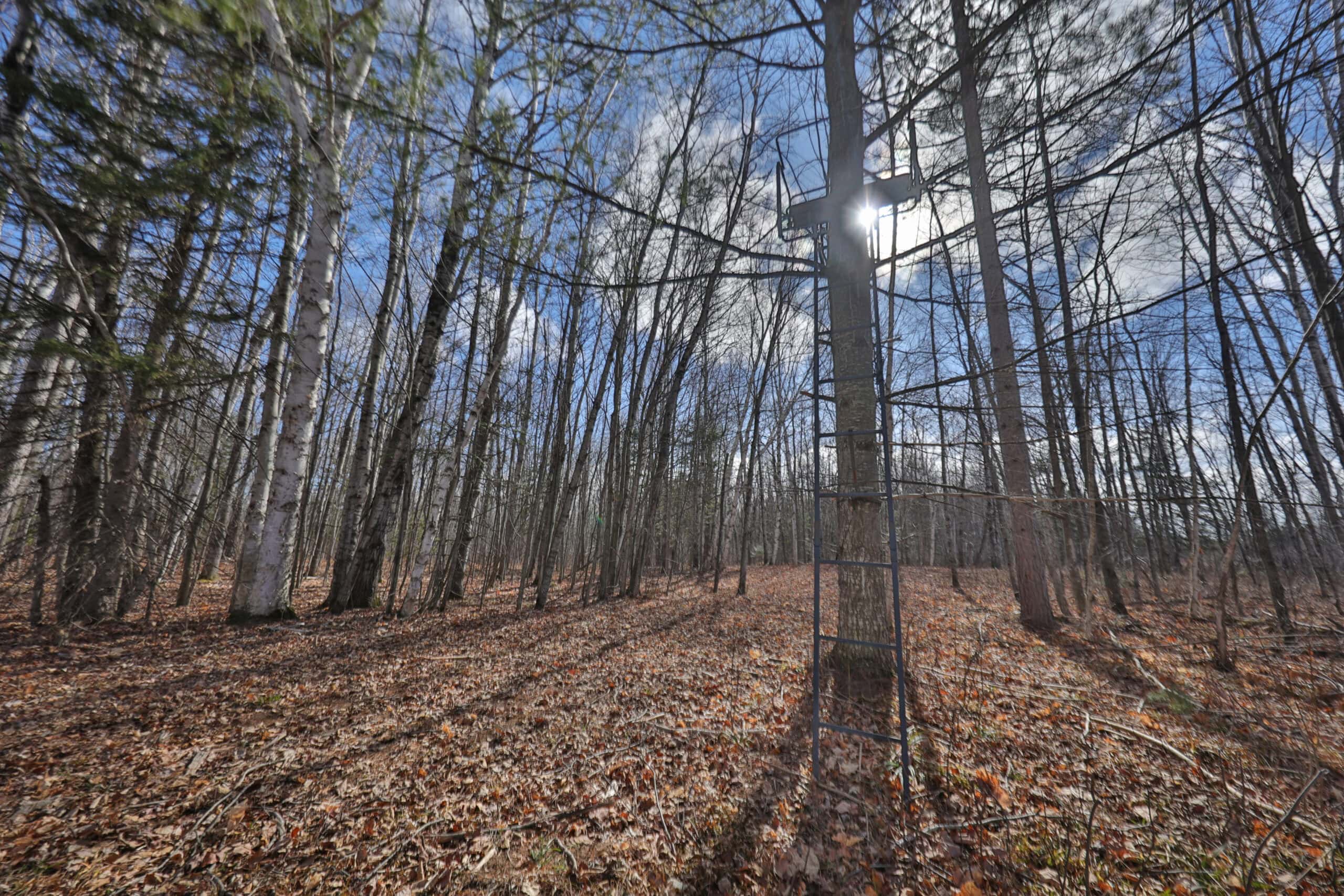 Prime Hunting Land for sale in Bayfield County, Wisconsin