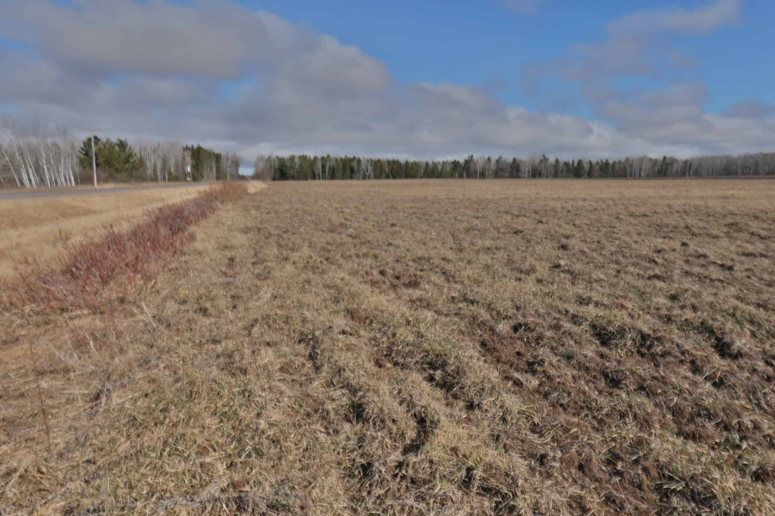 Farmland for sale in Bayfield County, Wisconsin
