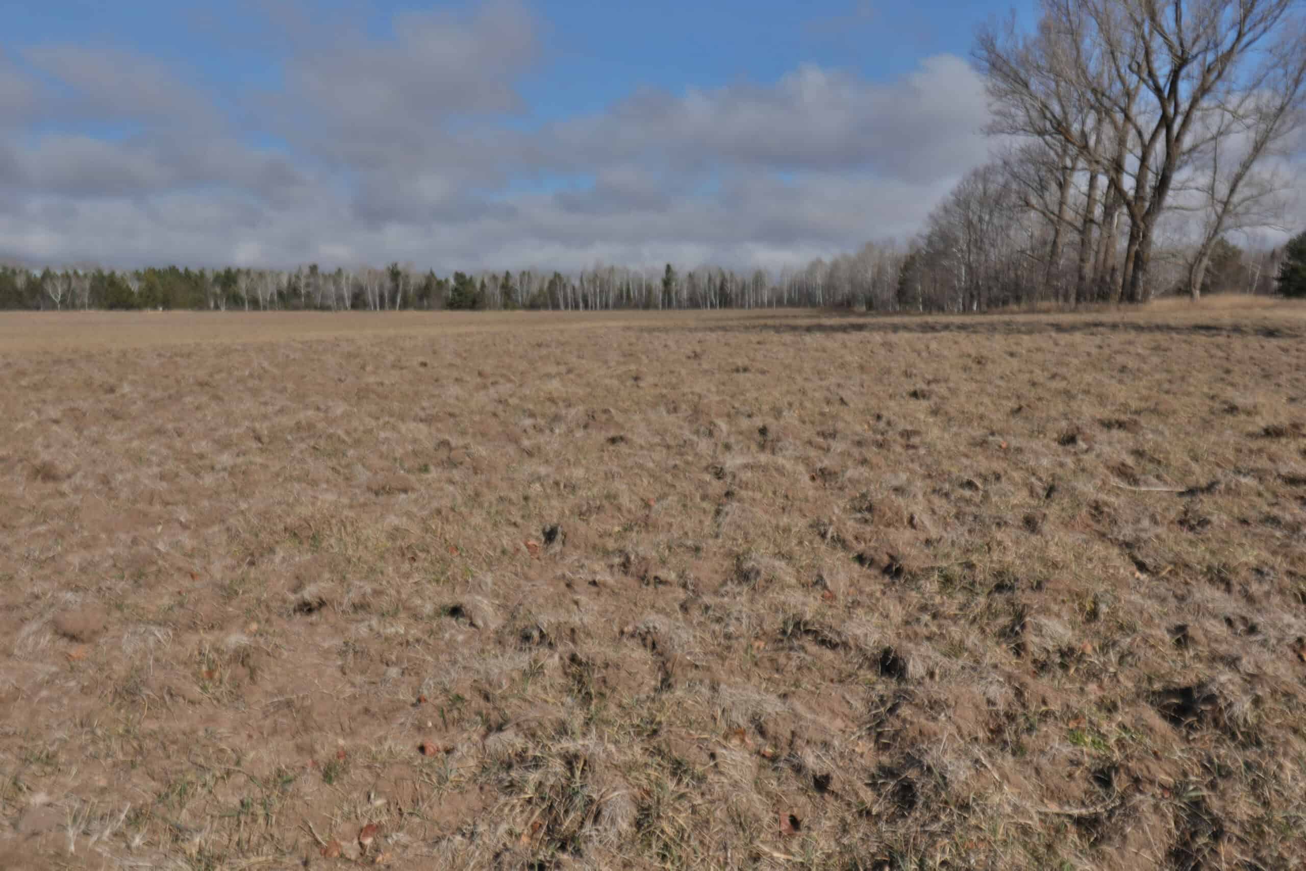 Farmland for sale in Bayfield County, Wisconsin