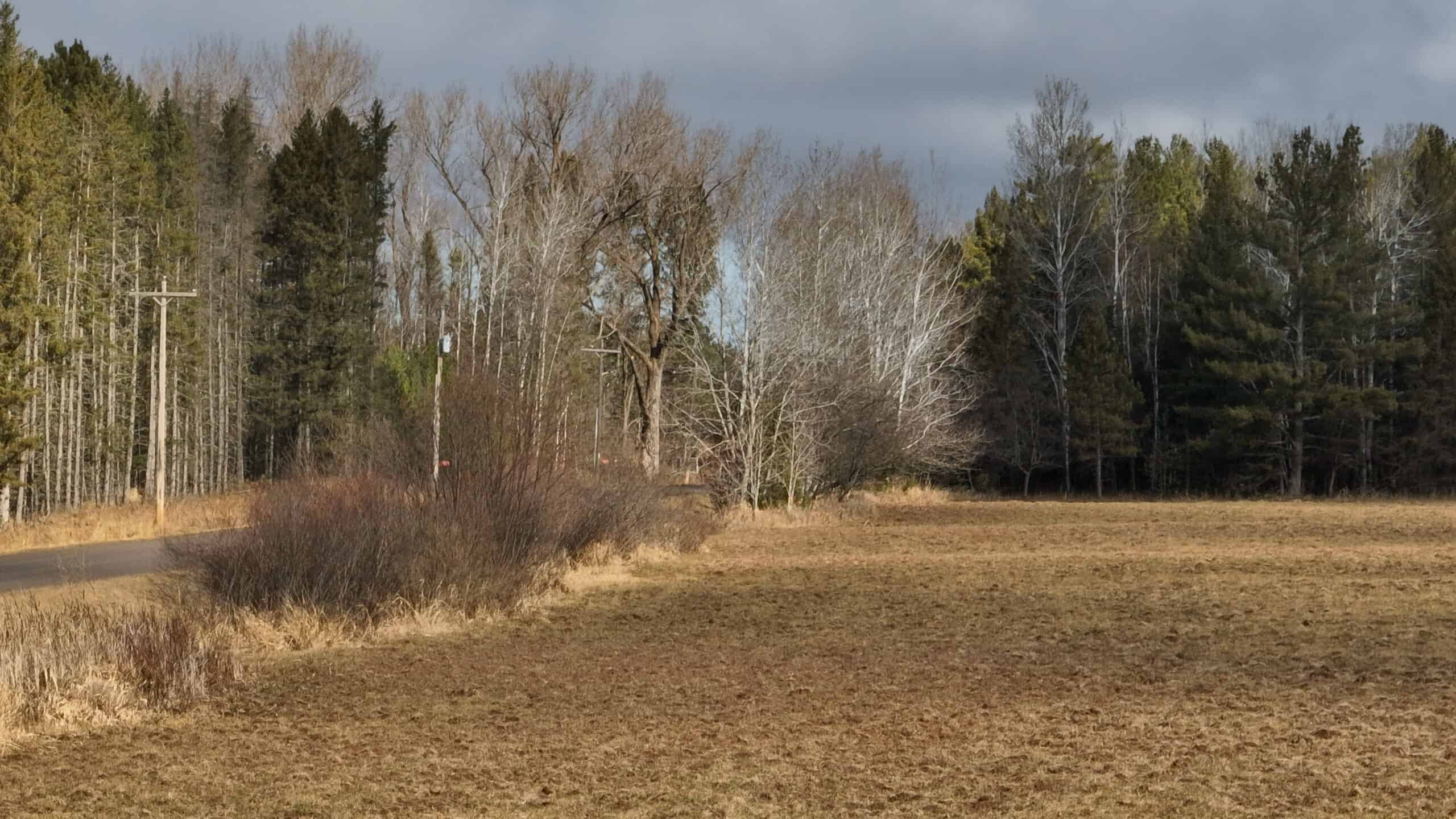 Farmland for sale in Bayfield County, Wisconsin