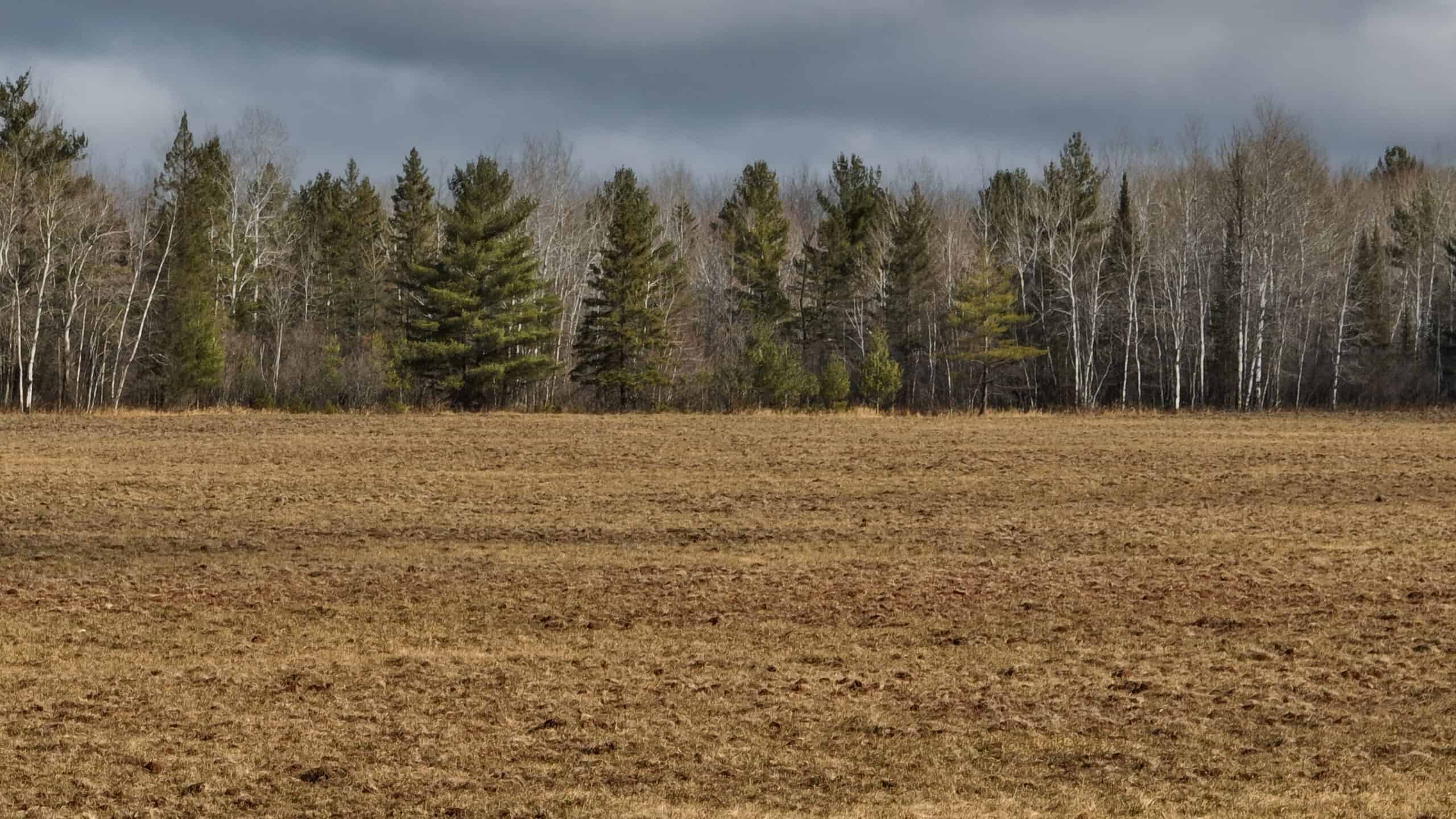 Farmland for sale in Bayfield County, Wisconsin