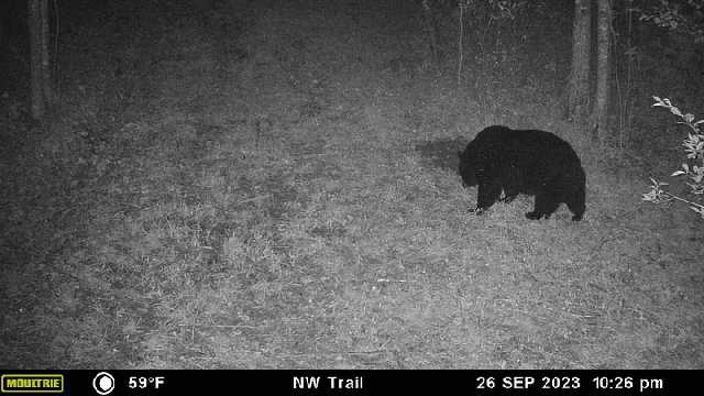 Prime Hunting Land for sale in Bayfield County, Wisconsin