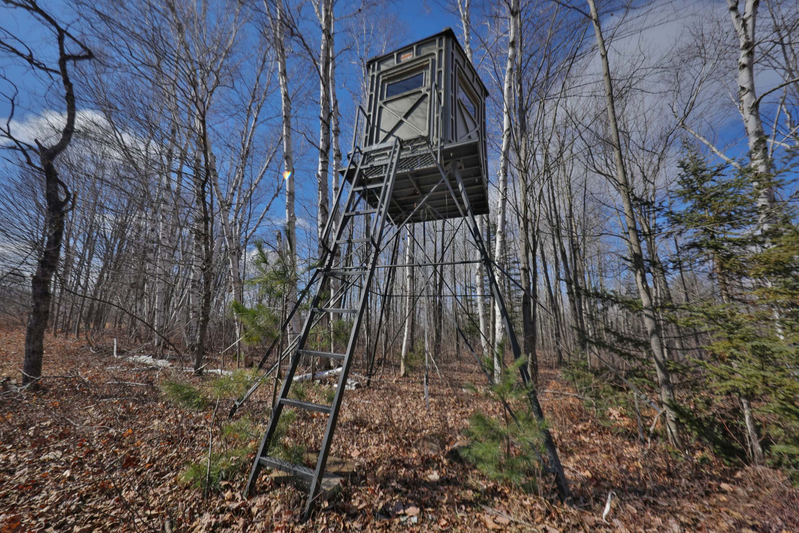 Prime Hunting Land for sale in Bayfield County, Wisconsin