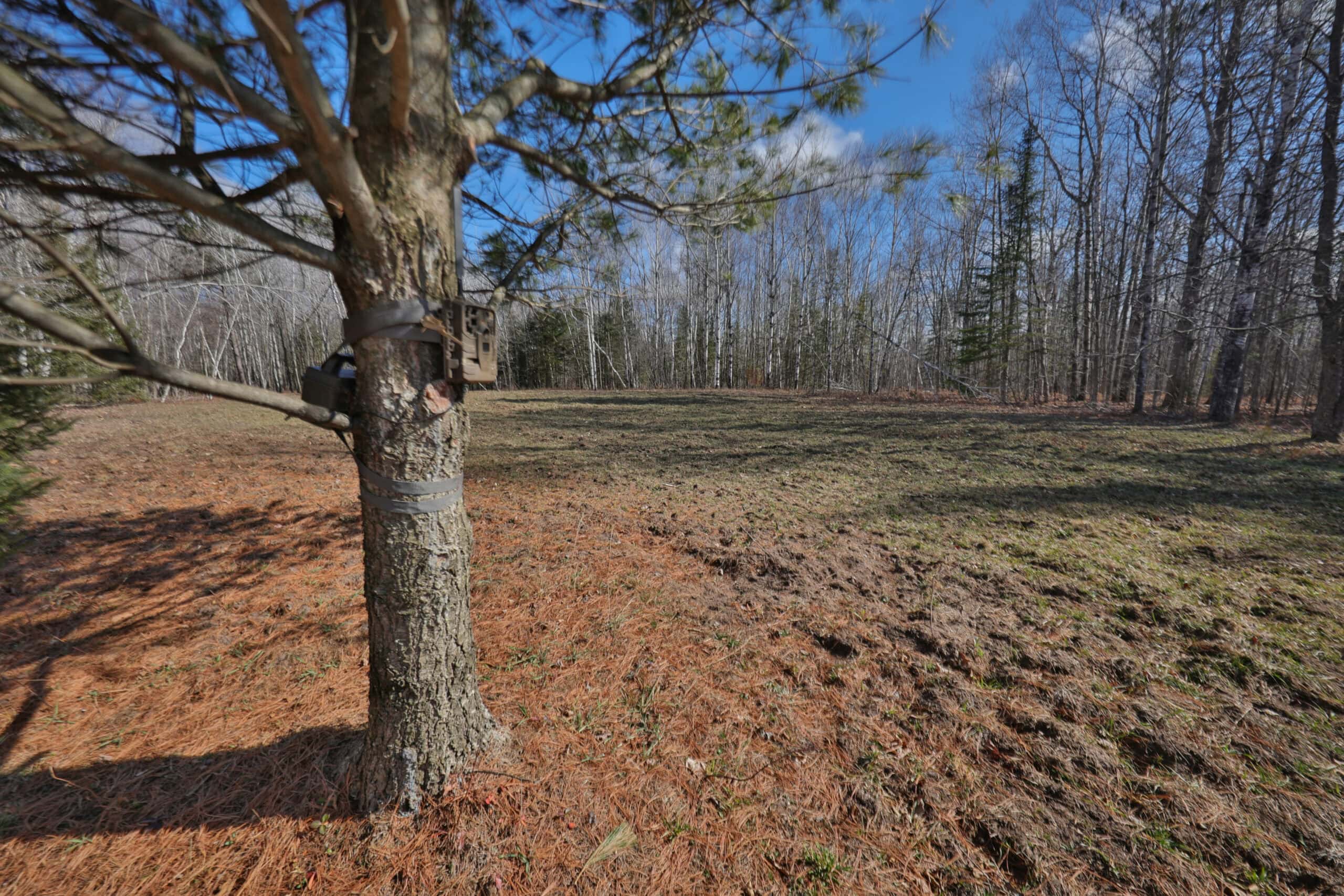 Prime Hunting Land for sale in Bayfield County, Wisconsin