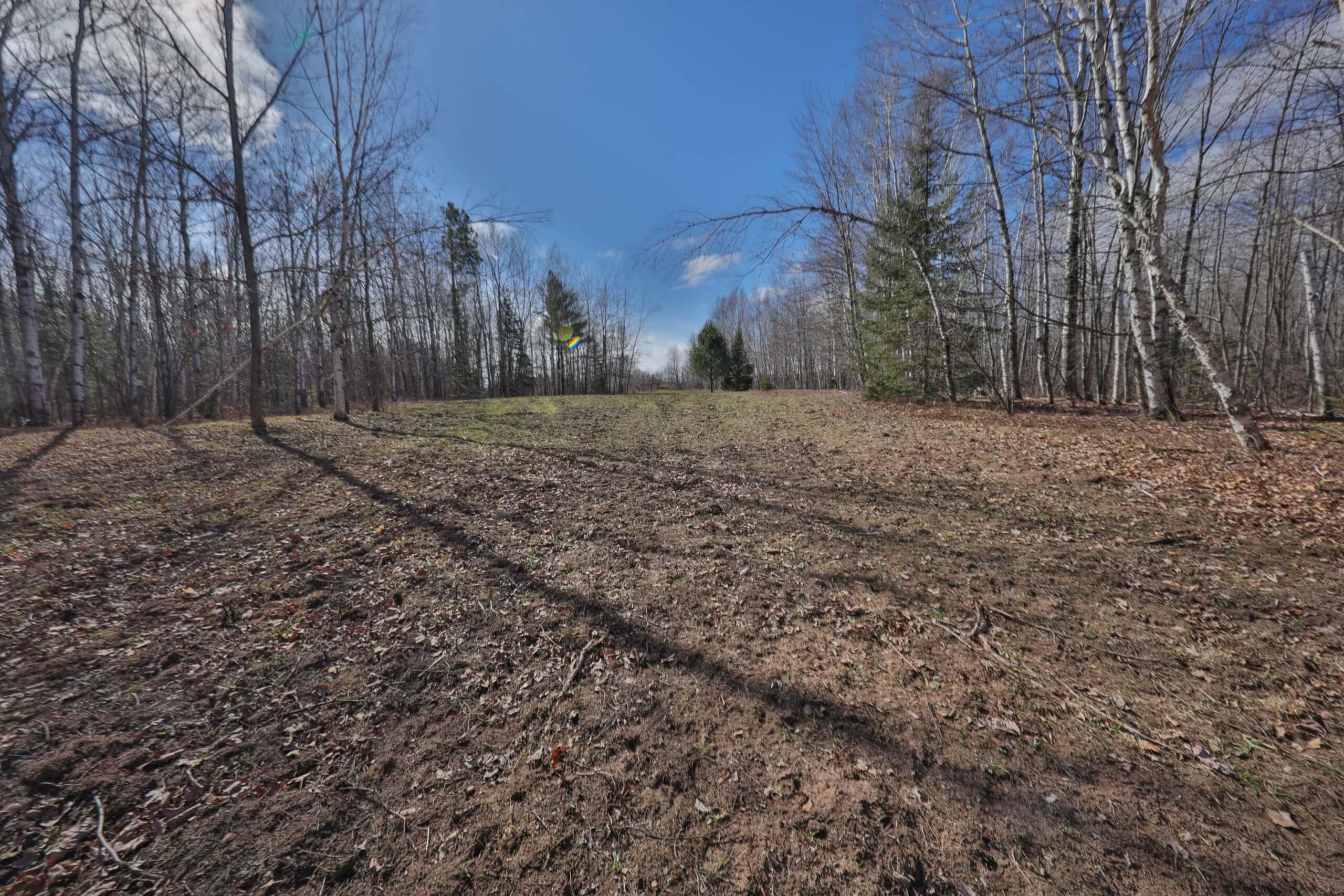 Prime Hunting Land for sale in Bayfield County, Wisconsin