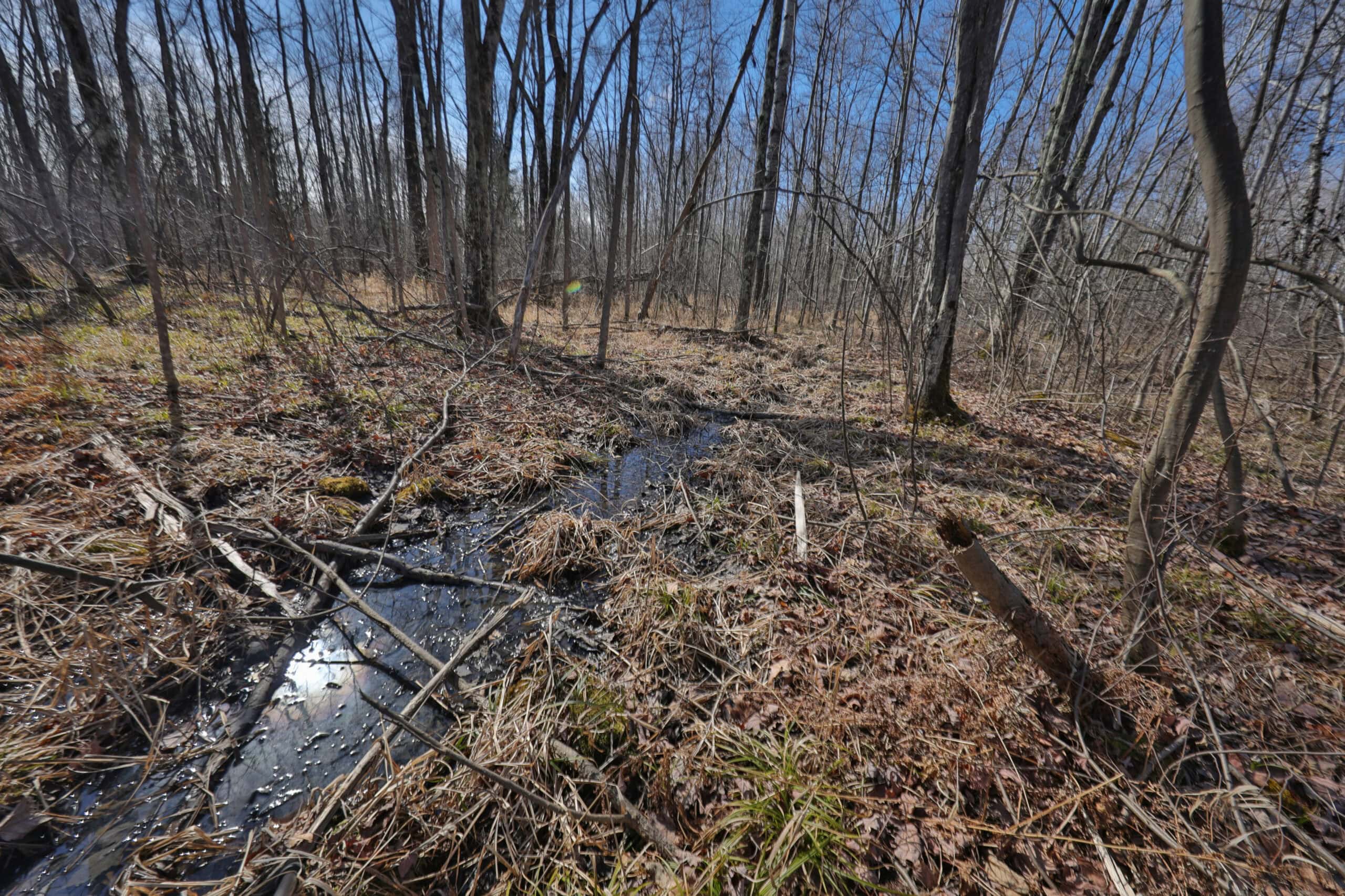 Prime Hunting Land for sale in Bayfield County, Wisconsin