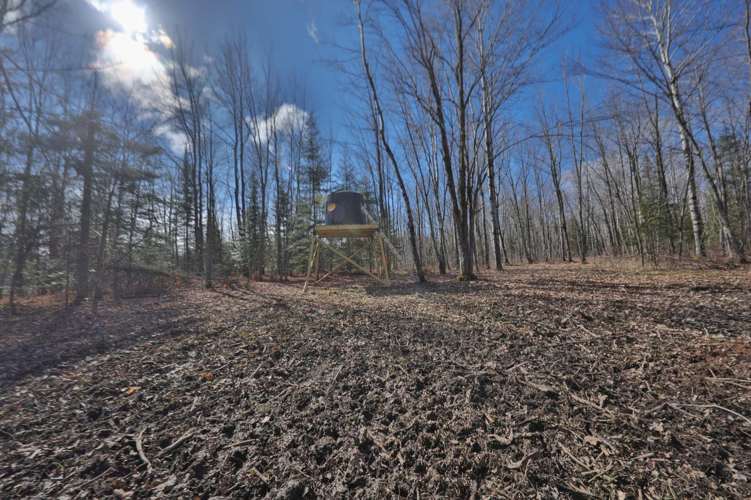 Prime Hunting Land for sale in Bayfield County, Wisconsin