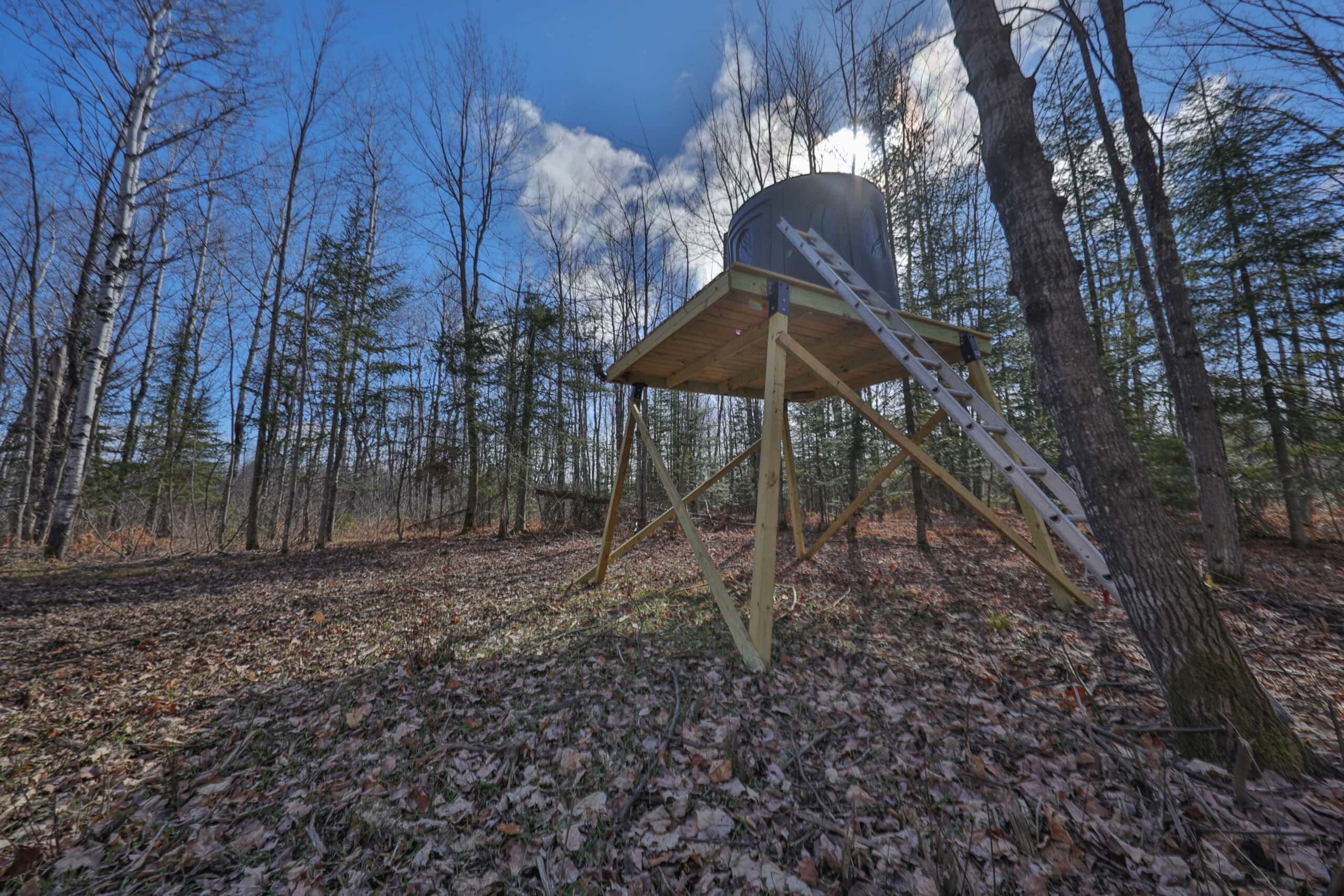 Prime Hunting Land for sale in Bayfield County, Wisconsin