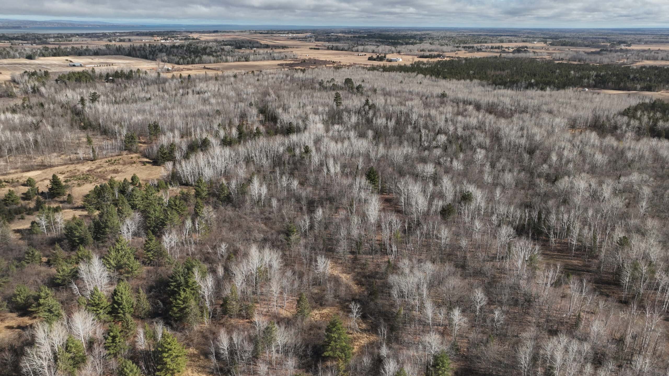 Prime Hunting Land for sale in Bayfield County, Wisconsin