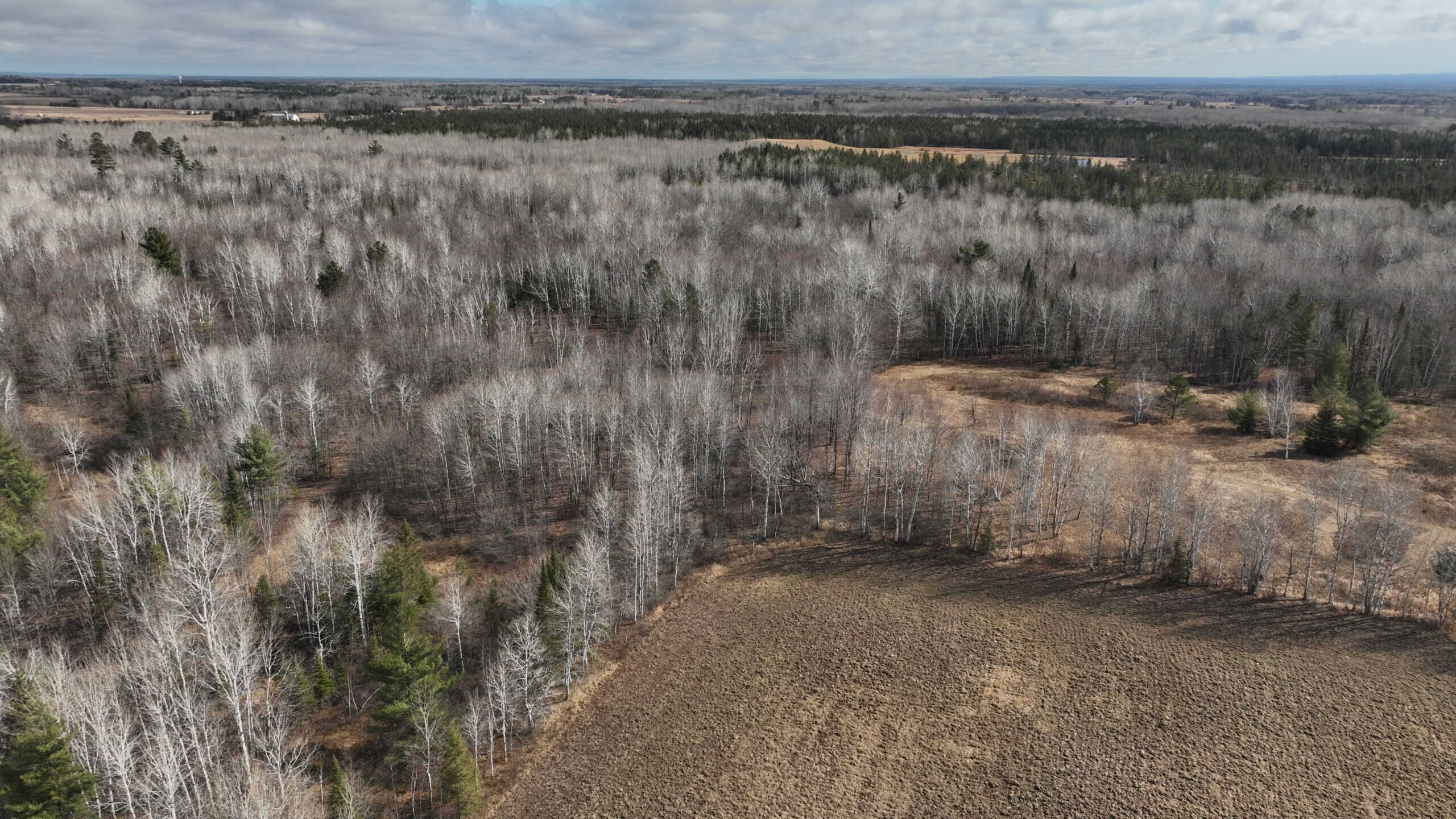 Prime Hunting Land for sale in Bayfield County, Wisconsin