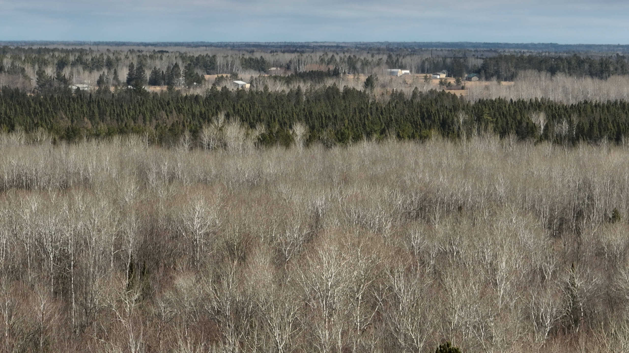 Prime Hunting Land for sale in Bayfield County, Wisconsin