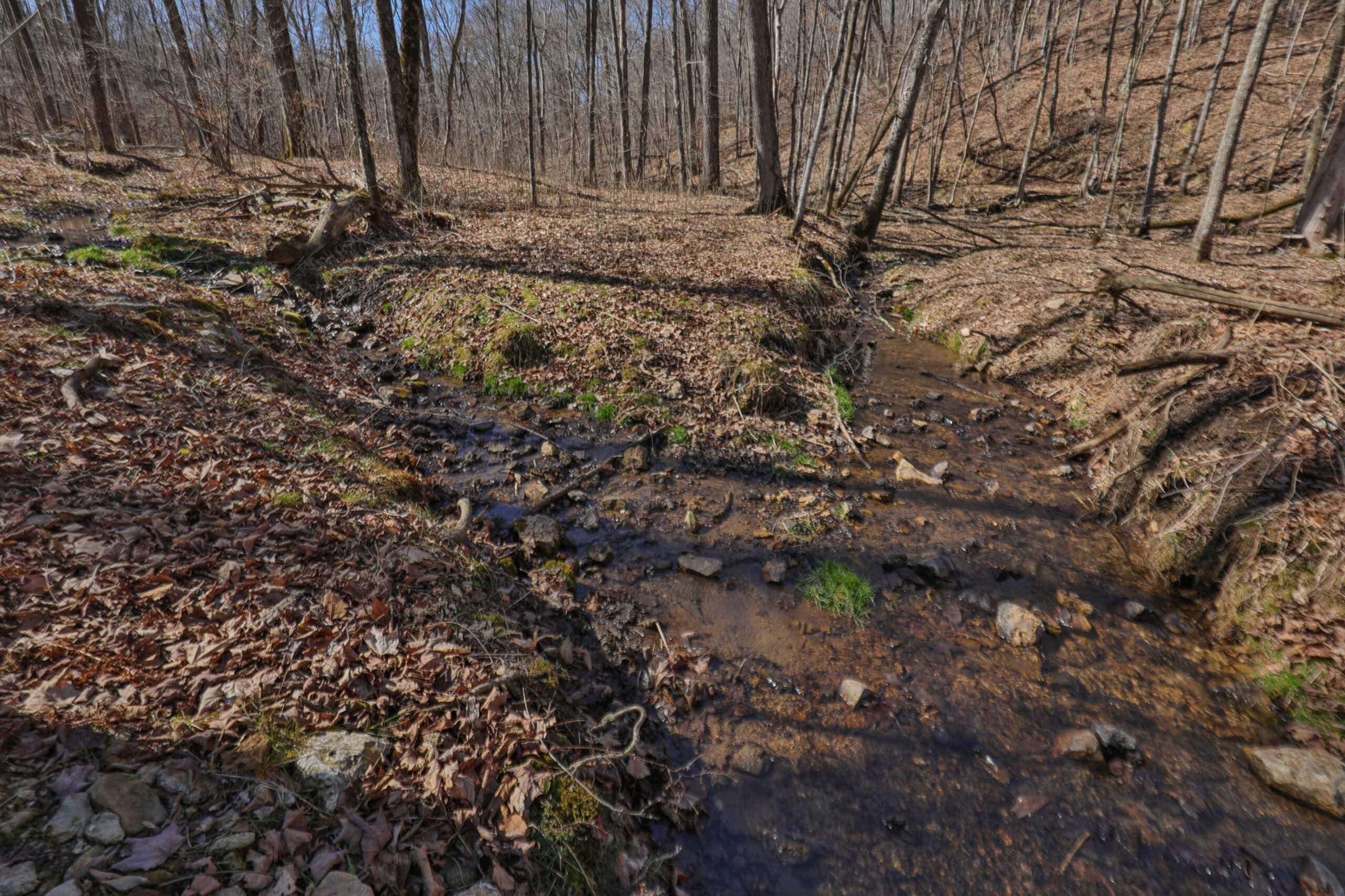 Log Home with OldGrowth Forest for sale in Monroe County, WI UC