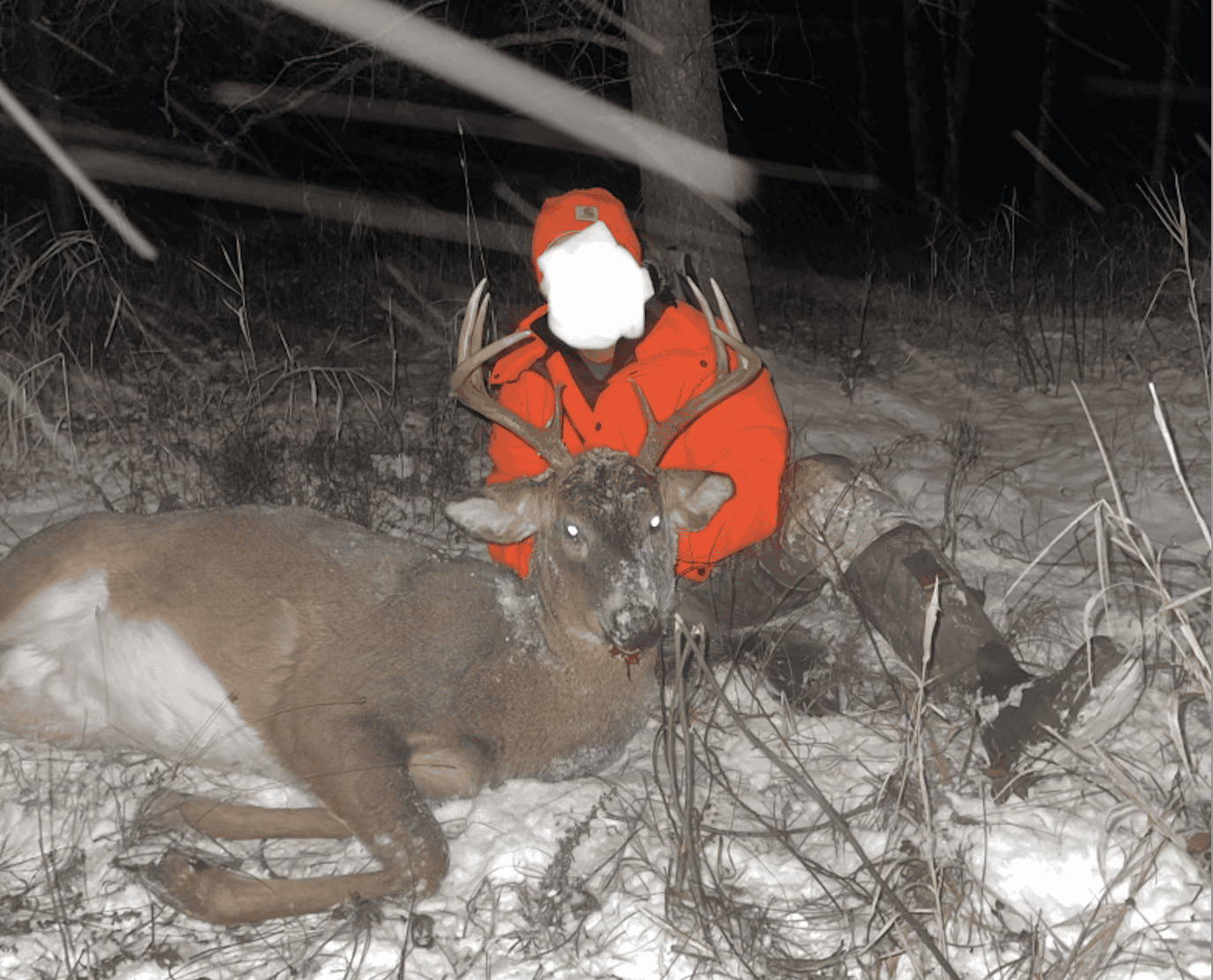 Prime Hunting Land for sale in Bayfield County, Wisconsin