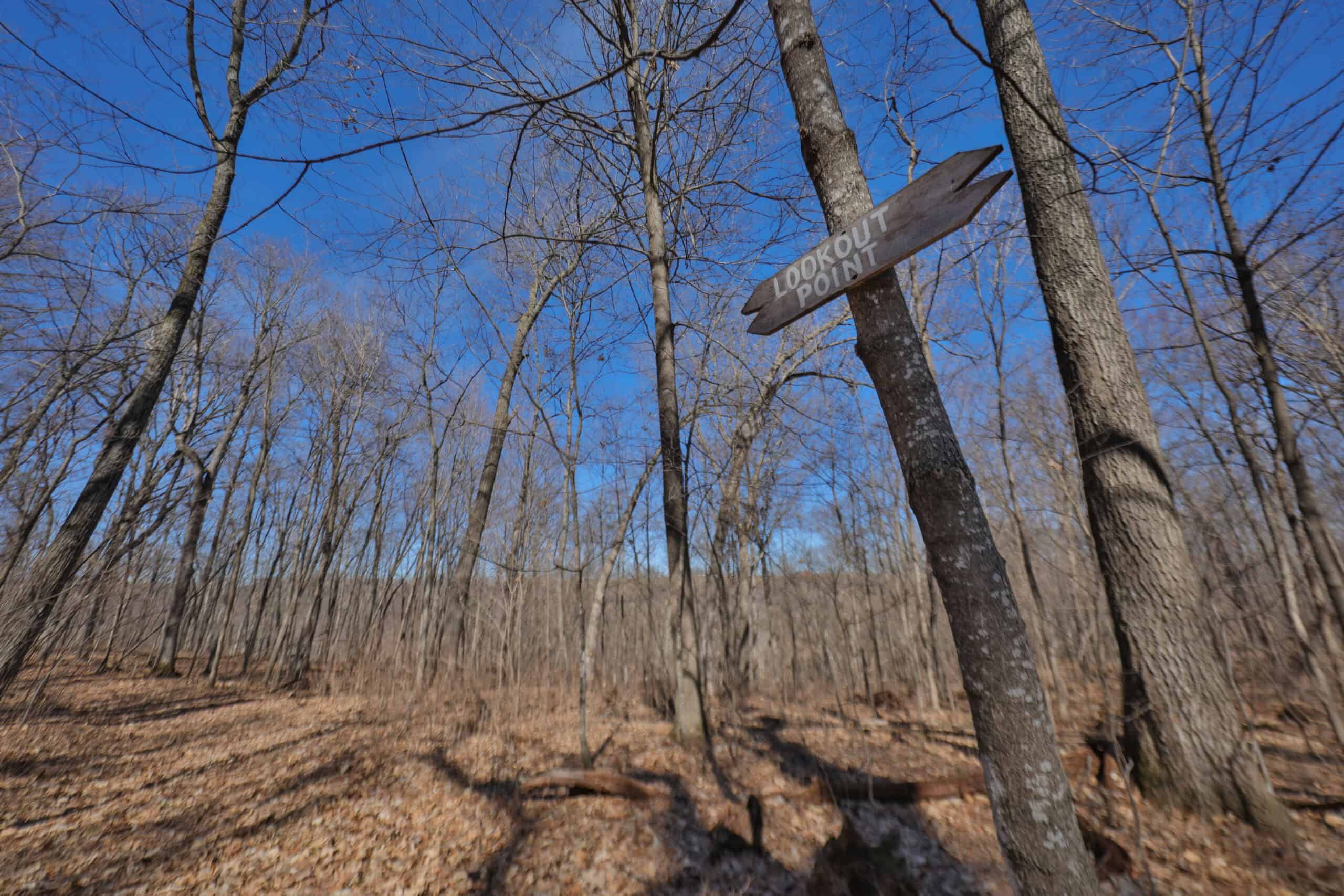 Log Home with OldGrowth Forest for sale in Monroe County, WI UC