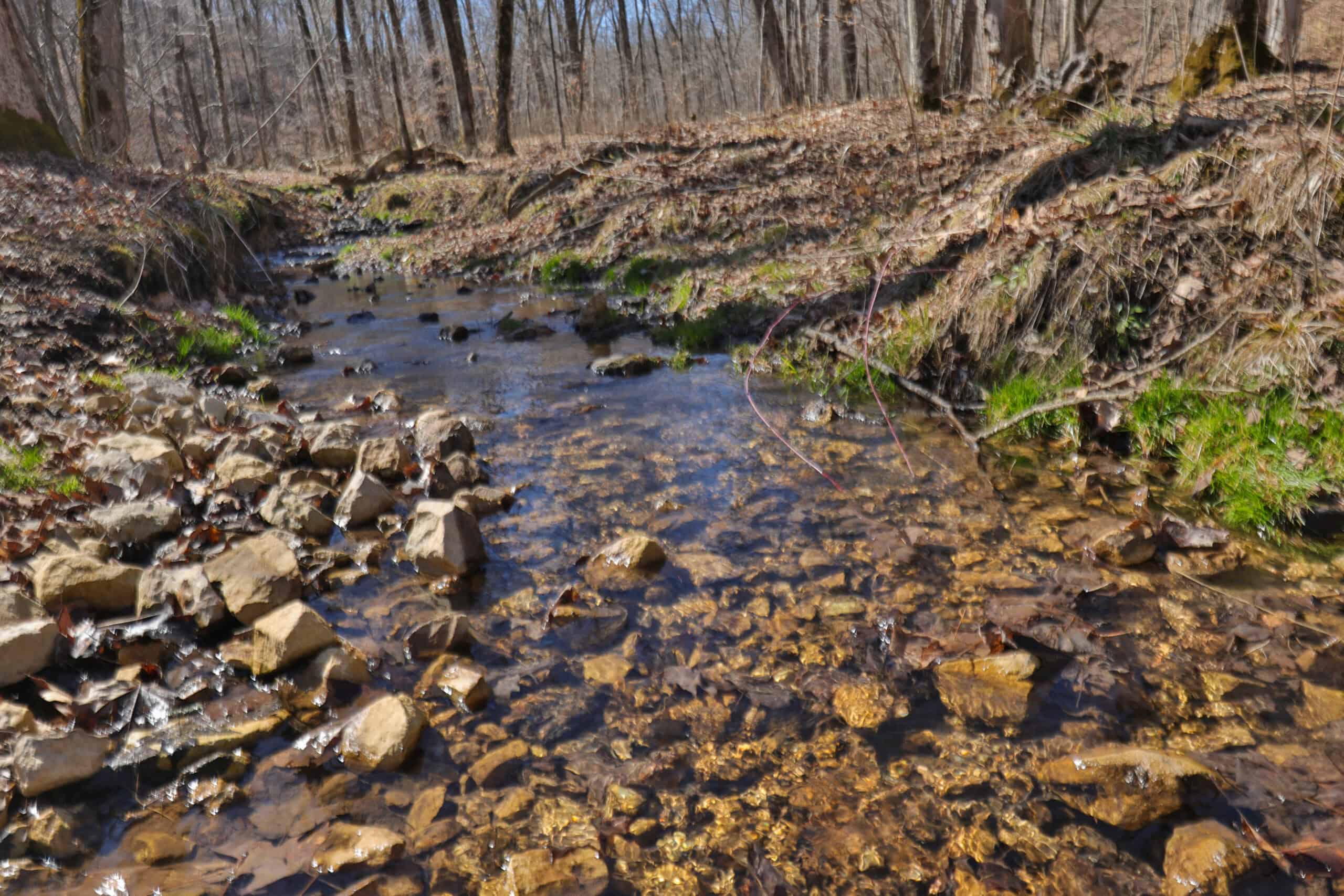 Log Home with OldGrowth Forest for sale in Monroe County, WI UC