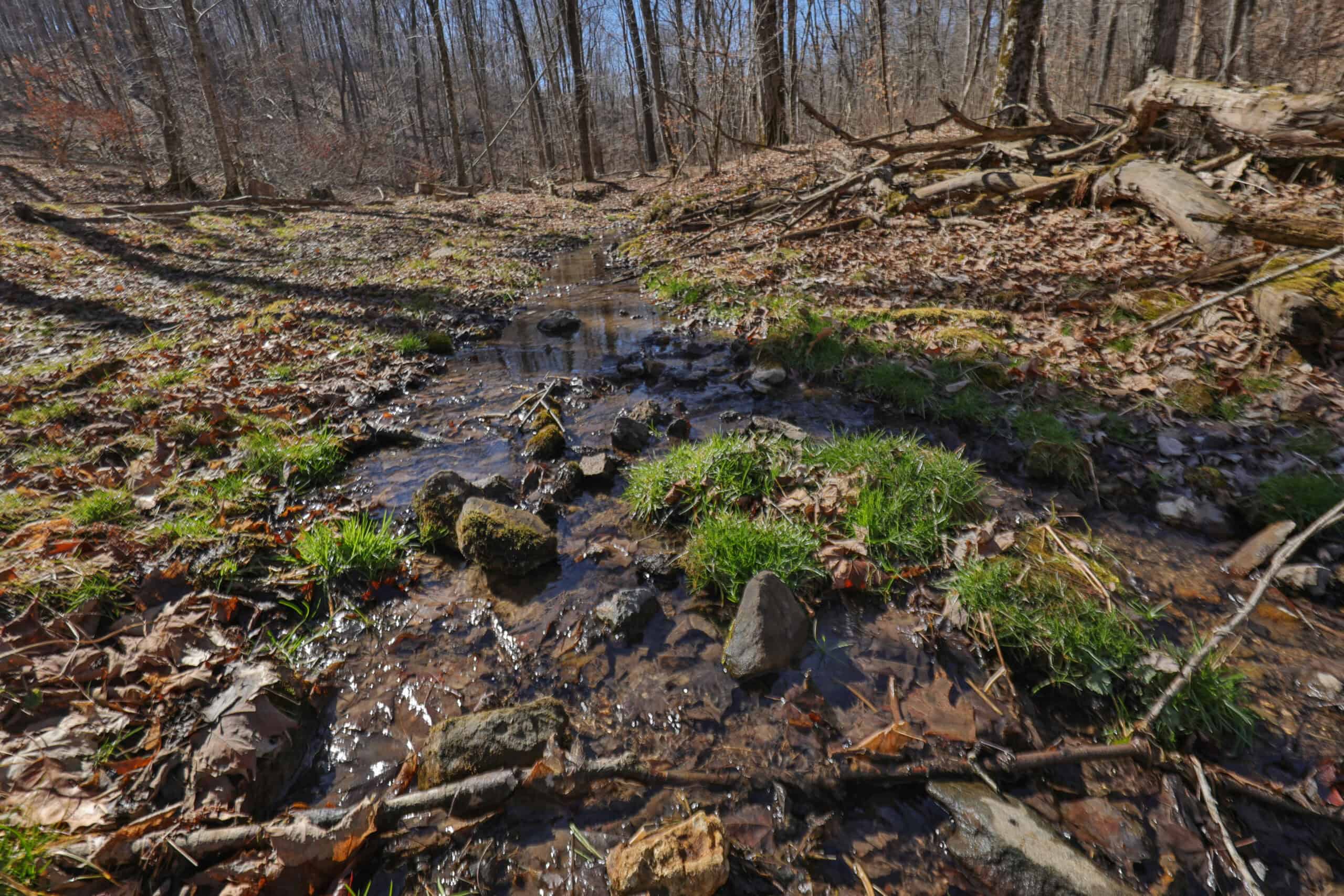 Log Home with OldGrowth Forest for sale in Monroe County, WI UC