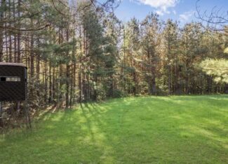 340 Acres Hunting Timberland for Sale St Helena Parish, LA