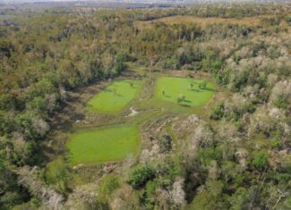 463 Acres Timberland on Tickfaw River St Helena Parish, LA