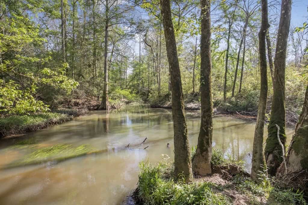 463 Acres Timberland on Tickfaw River St Helena Parish, LA