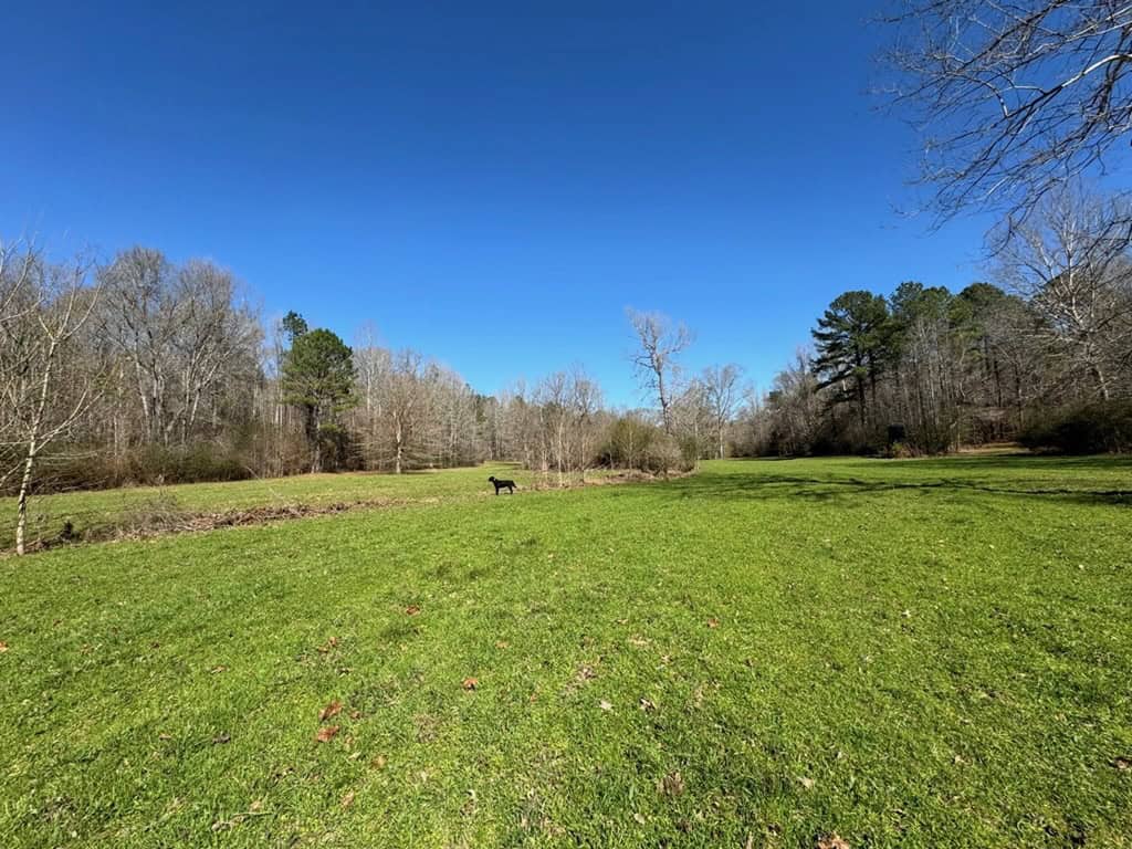 Hunting Land For Sale with Lodge in Franklin County MS