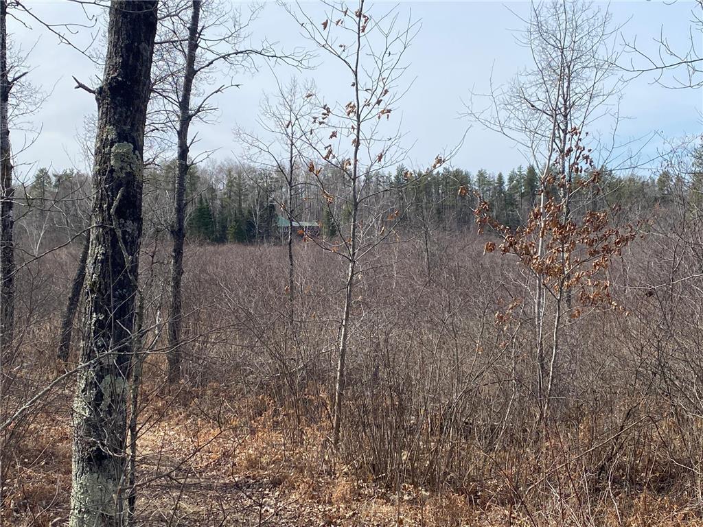 40 Acres of Hunting Land w/ Cabin For Sale in Askov MN UC Hunting