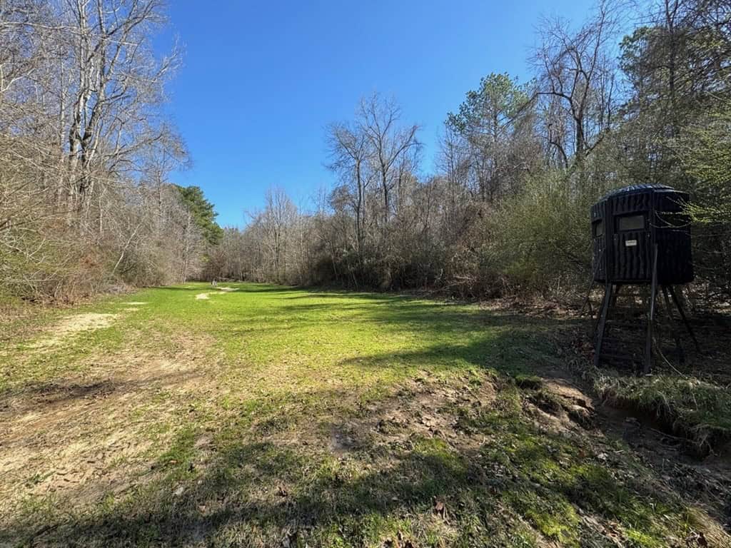 Hunting Land For Sale with Lodge in Franklin County MS