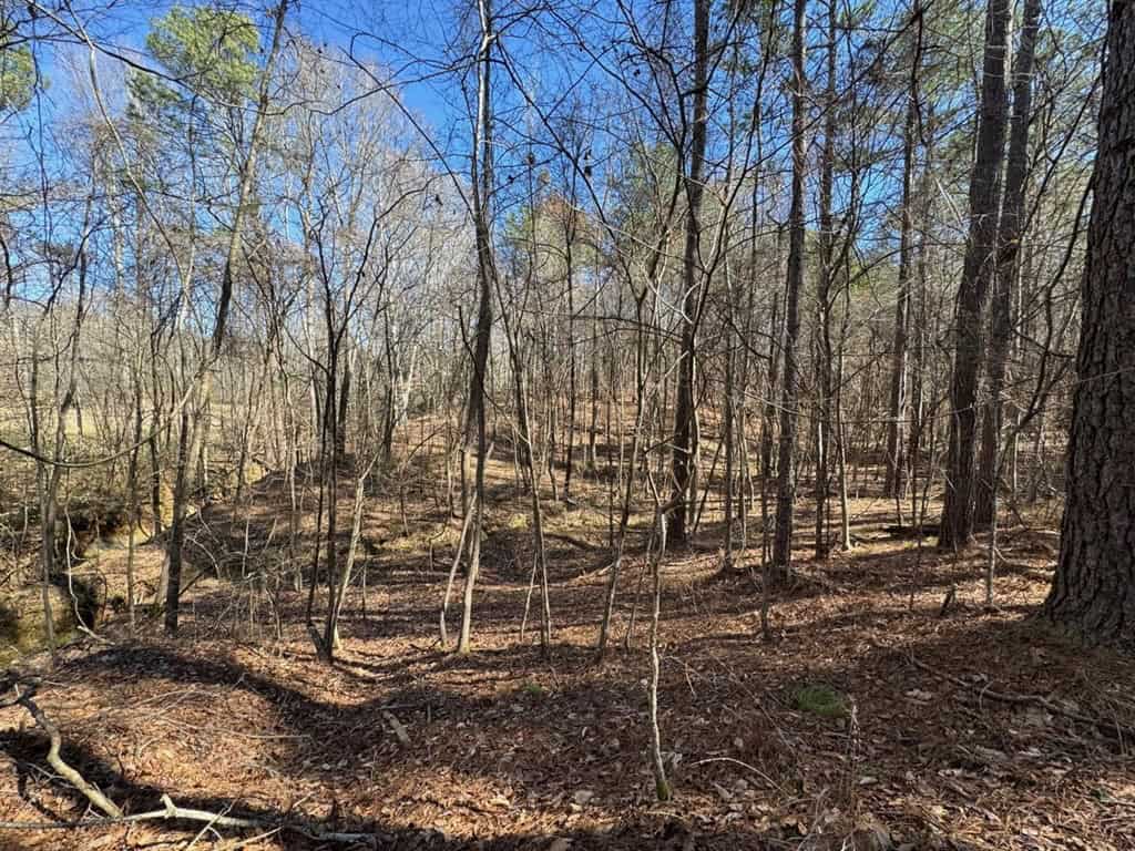 Hunting Land For Sale with Lodge in Franklin County MS