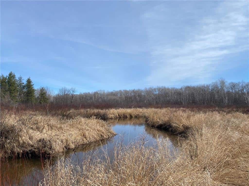 40 Acres of Hunting Land w/ Cabin For Sale in Askov MN UC Hunting