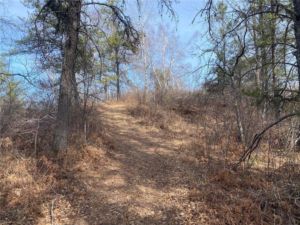 40 Acres of Hunting Land w/ Cabin For Sale in Askov MN UC Hunting